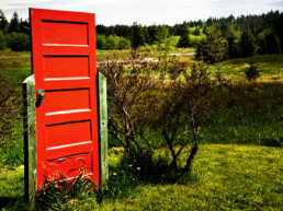 how to have a better life alternate reality red door in a field