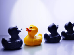 The Best Advice So Far - reverse - one yellow rubber ducky swimming the opposite direction in a line of black rubber ducks