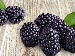 The Best Advice So Far - two and five