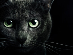 The Best Advice So Far - superstition