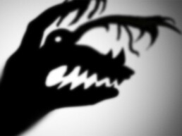 The Best Advice So Far - fear