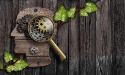 Flat rustic wooden head shape on rustic boards. A living vine with heart-shaped leaves runs underneath, and a magnifying glass highlights gears in the brain area.