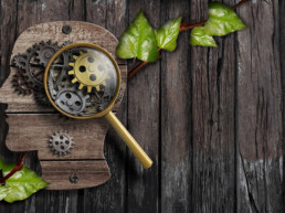 Flat rustic wooden head shape on rustic boards. A living vine with heart-shaped leaves runs underneath, and a magnifying glass highlights gears in the brain area.