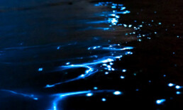 The Best Advice So Far: lights - glowing lights across ocean water at night