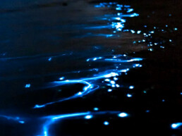 The Best Advice So Far: lights - glowing lights across ocean water at night